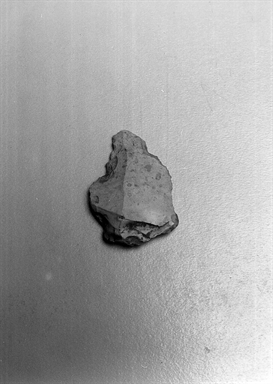 raschiatoio denticolato